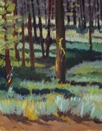 Summer Pines #1